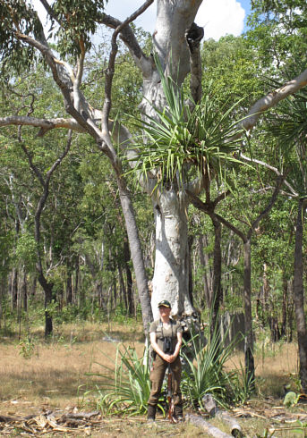 Im Arnhemland - Australien 2016